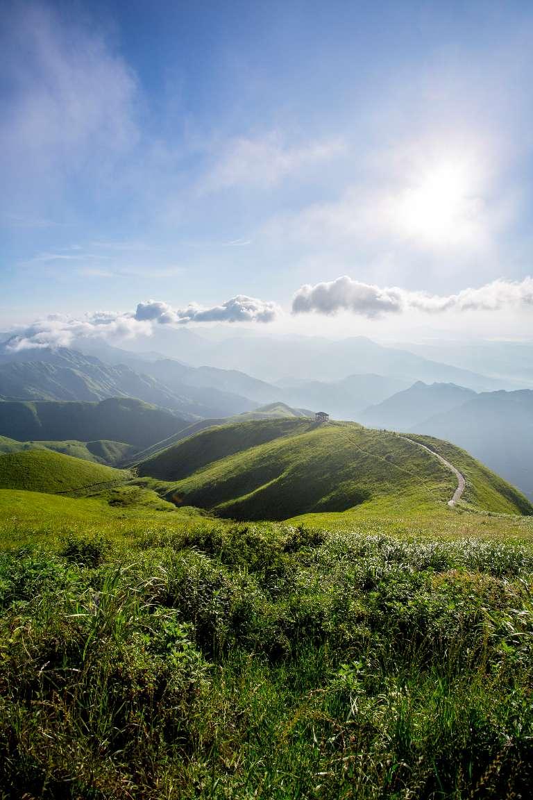 宝宝大便一直是绿色，能吃能喝，需要看医生吗？游戏画面